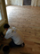 hand crafted rustic white oak flooring