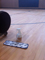 basketball court flooring